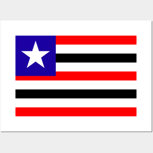 Flag of Maranhao Posters and Art